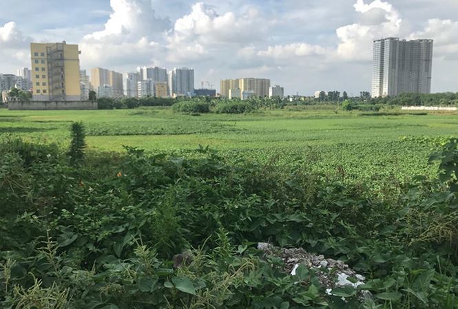 Dự án xây dựng bệnh viện đa khoa Quang Trung vẫn nằm trên giấy sau 10 năm có quyết định thu hồi đất để thực hiện.  Nguồn: Internet