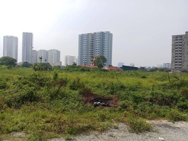 Nhiều dự án "ôm đất" bỏ hoang đến cả thập kỷ. Nguồn: Dantri.com.vn