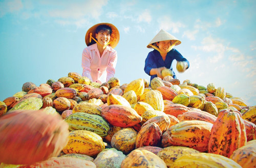 Hiến kế đưa nông sản Việt vào thị trường Trung Quốc. Nguồn: Internet