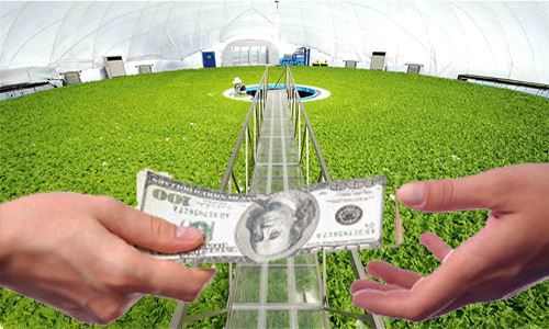 Sau 6 tháng triển khai, tín dụng cho nông nghiệp công nghệ cao, nông nghiệp sạch đạt 36 ngàn tỷ đồng (trong gói 100 ngàn tỷ) với kỳ hạn dài chiếm khoảng 60%. Nguồn: Internet