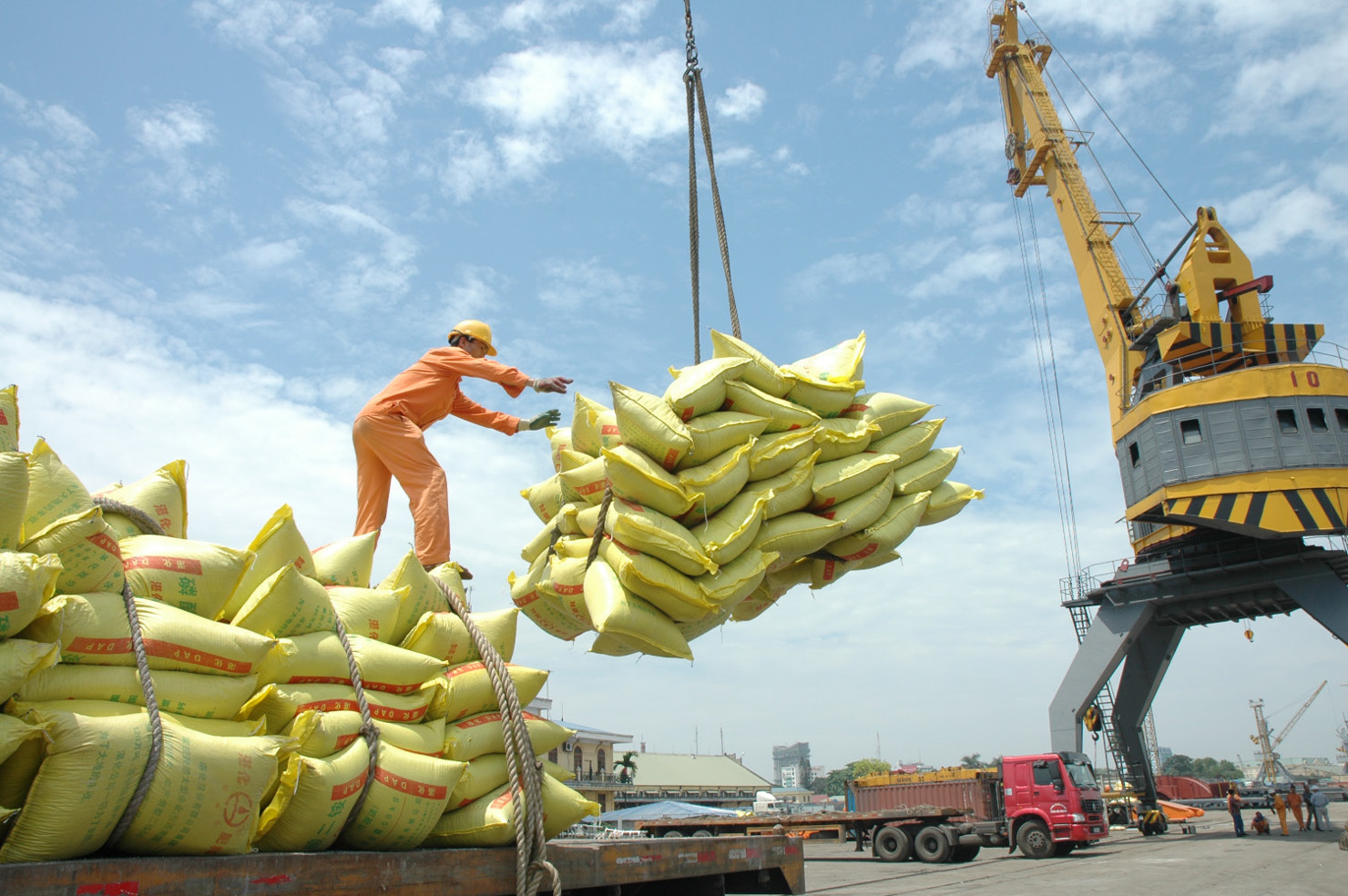  11 tháng, xuất khẩu gạo đã đạt sản lượng 5,52 triệu tấn. Nguồn: Internet