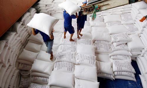Cơ cấu gạo xuất khẩu của Việt Nam đang có sự chuyển dịch tích cực. Nguồn: Internet