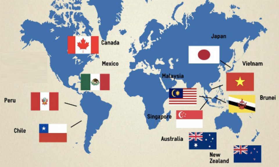 Hiệp định CPTPP có 11 nước tham gia. Nguồn: CustomsNews.