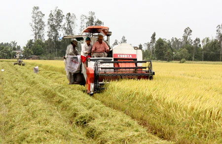 Để phát triển hợp tác xã nông nghiệp cần chú trọng đến công tác đào tạo về nguồn lực. Nguồn: hanoimoi.com.vn