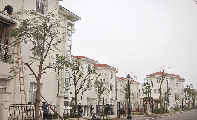 Thanh khoản của phân khúc đất nền nhà liền kề, biệt thự dự án tăng trong thời gian gần đây. Nguồn: internet