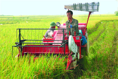 Xây dựng nông thôn mới là nhằm tạo ra những giá trị mới của nông thôn Việt Nam. Nguồn: internet