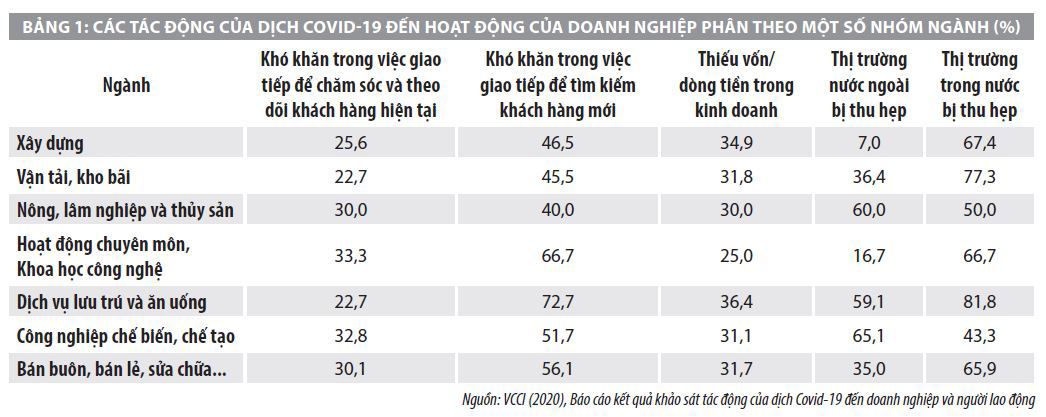 Tác động của đại dịch COVID-19 đến kinh tế - xã hội của Việt Nam  - Ảnh 3