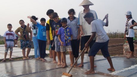 Các Em học sinh nước ngoài tập thu hoạch lúa ở Thái Bình. Nguồn: internet
