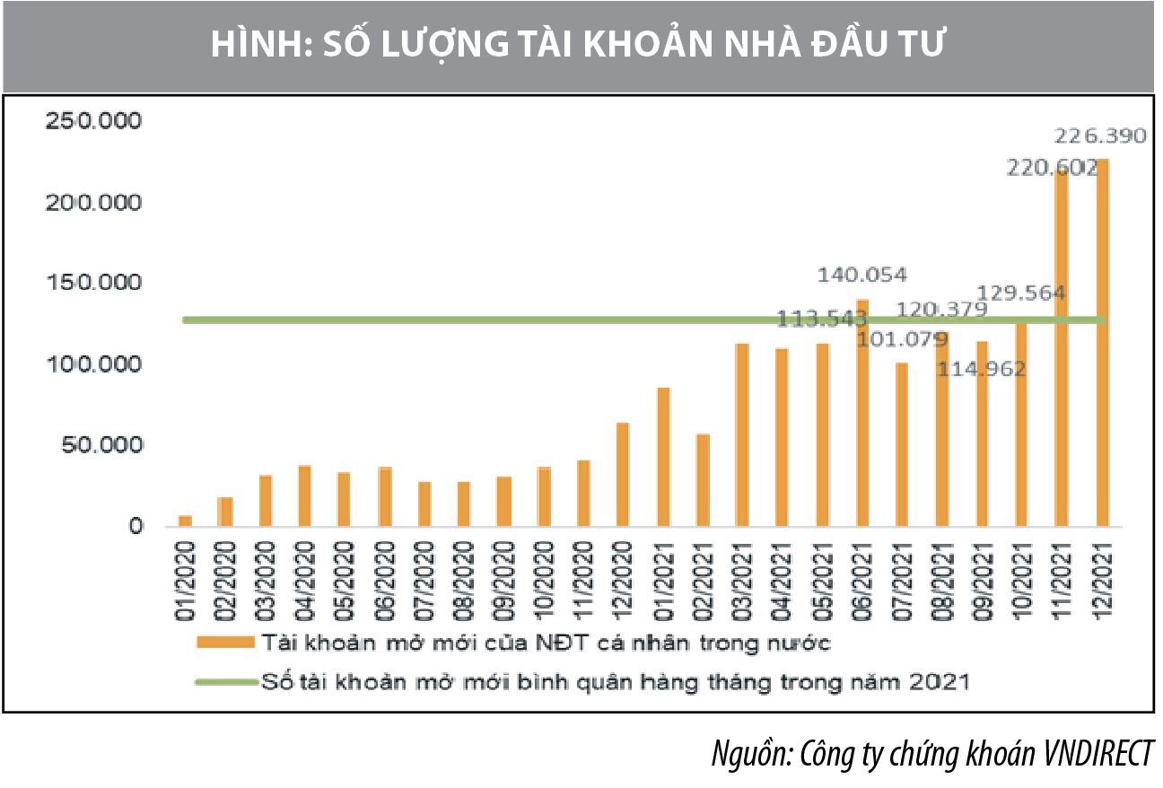 Khung pháp lý và thực tiễn bảo vệ nhà đầu tư chứng khoán tại một số quốc gia và Việt Nam - Ảnh 1