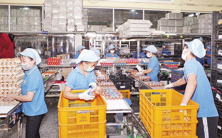 Công ty cổ phần thực phẩm Vĩnh Thành Đạt chú trọng bảo đảm an toàn phòng dịch cho người lao động.