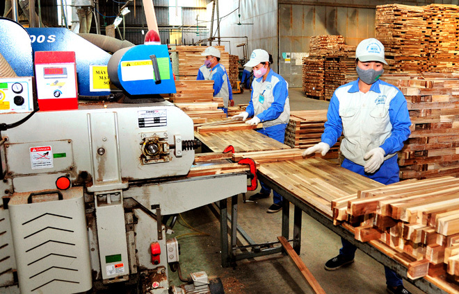 Công ty cổ phần Woodsland Tuyên Quang đã từng bước khẳng định vị thế trong phát triển nguyên liệu và chế biến gỗ rừng trồng.