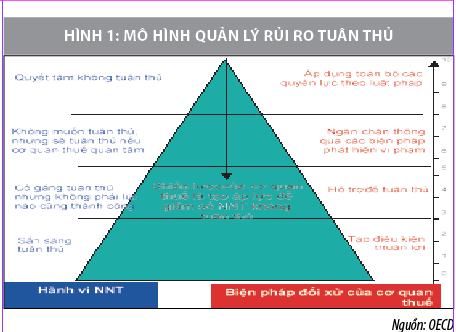 Quản lý rủi ro trong quản lý thuế ở Việt Nam - Ảnh 1