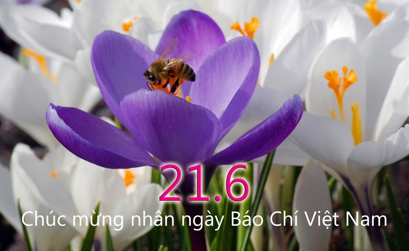 Ảnh minh họa. Nguồn: internet