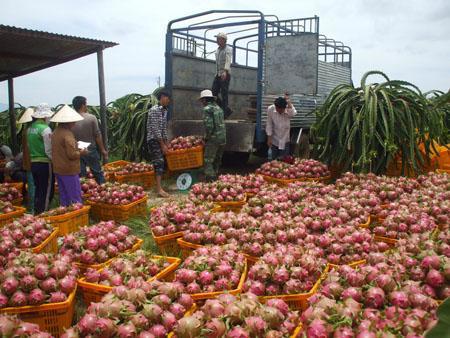 Việt Nam có năng lực cạnh tranh quốc gia mạnh trong hoạt động sản xuất các sản phẩm nông nghiệp.