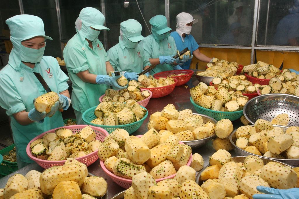 Nhiều mặt hàng nông sản thế mạnh của Việt Nam phù hợp với nhu cầu tiêu thụ của thị trường Trung Quốc.