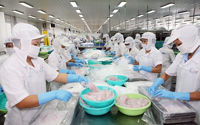 Chế biến thủy sản tại Công ty cổ phần Xuất nhập khẩu thủy sản Cần Thơ. Ảnh: Quốc Tuấn
