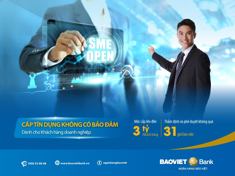 BAOVIET Bank ra mắt sản phẩm SME OPEN dành cho khách hàng doanh nghiệp  - Ảnh 1