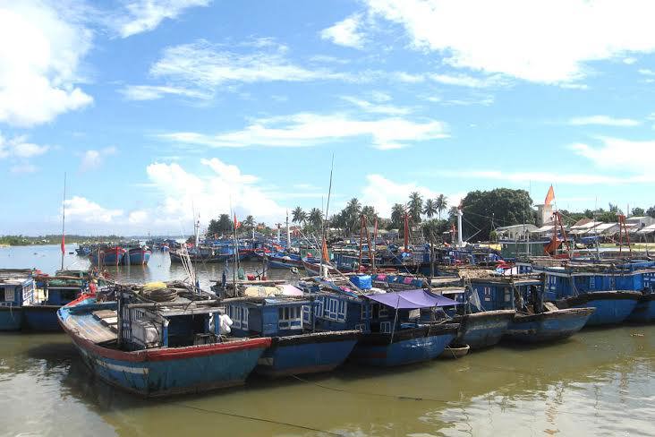 Phần lớn số tàu cá của ngư dân Việt Nam vẫn tập trung khai thác ở vùng biển Việt Nam. Nguồn: dddn.com.vn