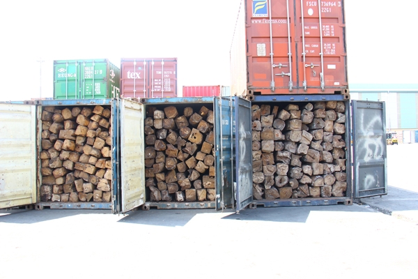 Các container gỗ tại cảng Cát Lái được Đội 3 kiểm tra ngày 10/11 để làm rõ nguồn gốc. Nguồn: internet
