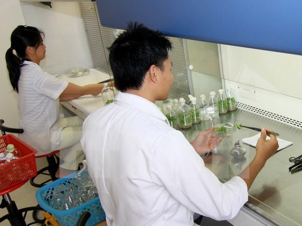 Nghiên cứu tại Viện Nghiên cứu Hạt nhân Đà Lạt thuộc Viện Năng lượng Nguyên tử Việt Nam. Nguồn: TTXVN

