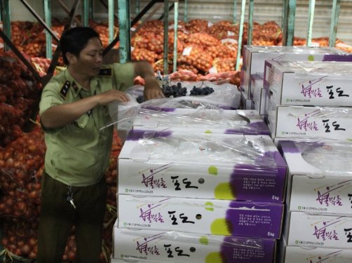 Lực lượng QLTT phát hiện trái cây nhập khẩu kém chất lượng tại kho hàng chợ đầu mối Thủ Đức. Nguồn: baocongthuong.com.vn