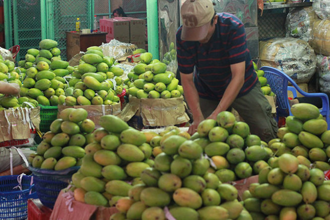 Theo các doanh nghiệp chuyên kinh doanh, xuất khẩu rau, củ, quả, vẫn còn nhiều rào cản khiến doanh nghiệp chưa “gặp gỡ” được nông dân. Nguồn: tuoitre.vn