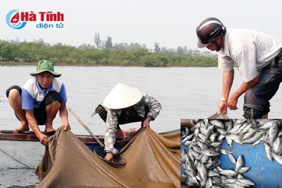 BIDV đề xuất Chính phủ hỗ trợ ngư dân vay vốn tại các địa phương có cá chết hàng loạt. Nguồn: baohatinh.vn