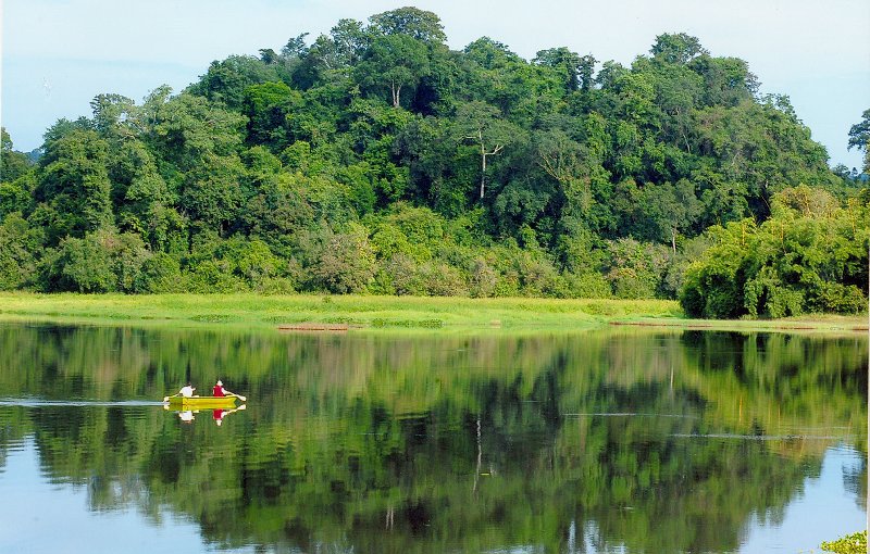 Thủ tướng Chính phủ đồng ý chủ trương chuyển đổi 3,98 ha rừng đặc dụng thuộc Vườn quốc gia Cát Tiên