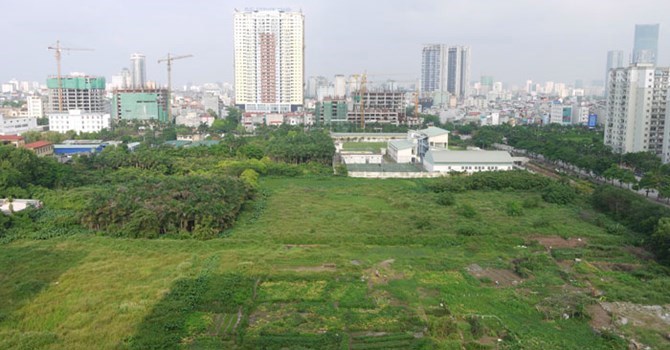 Thủ tướng cho phép Hà Nội chuyển 61,8 ha đất trồng lúa sang đất phi nông nghiệp. Nguồn: internet