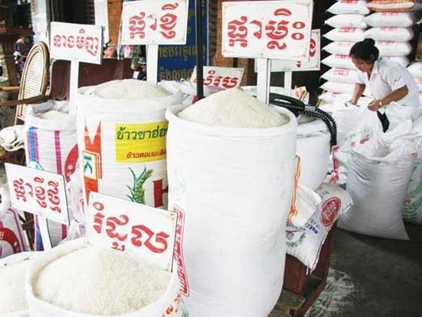 Lúa gạo từ Campuchia sẽ được hưởng thuế suất nhập khẩu 0%. Nguồn: internet
