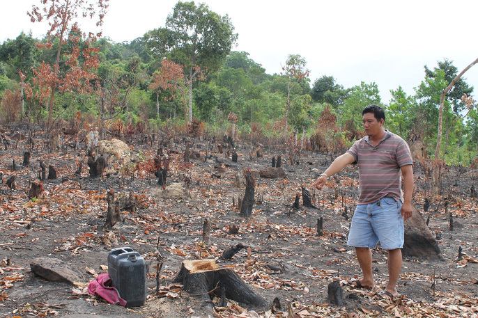 Một phần diện tích đất rừng ở Phú Quốc bị cá nhân bao chiếm, phát nát. Ảnh: nld.com.vn