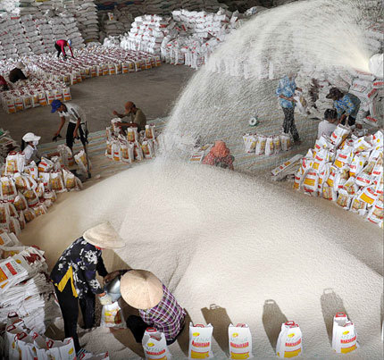 Chọn gạo xuất khẩu tại Việt Nam. Nguồn: internet