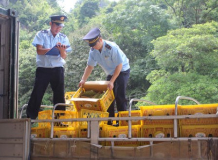 Cán bộ Hải quan Lạng Sơn kiểm tra thực tế hàng hóa với lô hàng nghi vấn. Nguồn: PV.