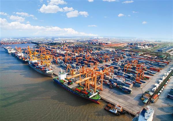 Cảng Tân Vũ - cảng đầu tiên thực hiện thí điểm Đề án. Nguồn: PV.