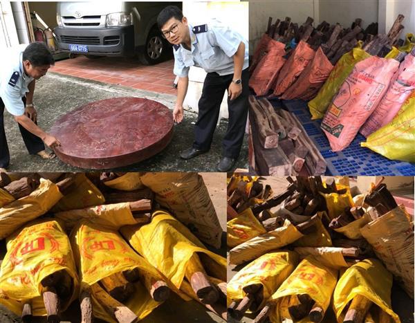 Tang vật vụ bắt giữ hơn 4,3 tấn gỗ trắc do Đội Kiểm soát Hải quan Đồng Tháp bắt giữ ngày 25/10. Nguồn: PV.