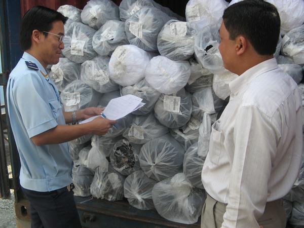 Hải quan TP.Hồ Chí Minh kiểm tra vải nhập khẩu. Nguồn: PV.