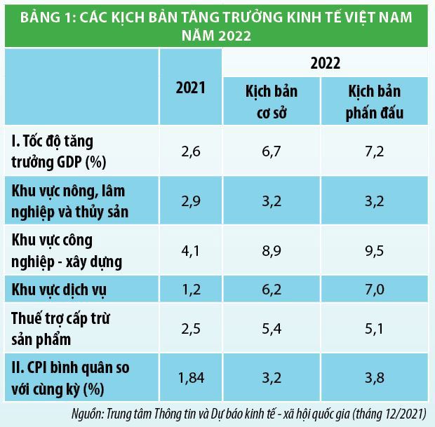 Tăng trưởng kinh tế Việt Nam năm 2021 và dự báo năm 2022 - Ảnh 2