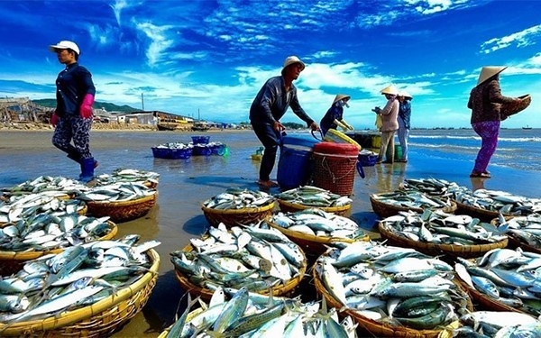 Lập quy hoạch đến năm 2050, Việt Nam trở thành quốc gia có nghề cá phát triển bền vững, hiện đại.