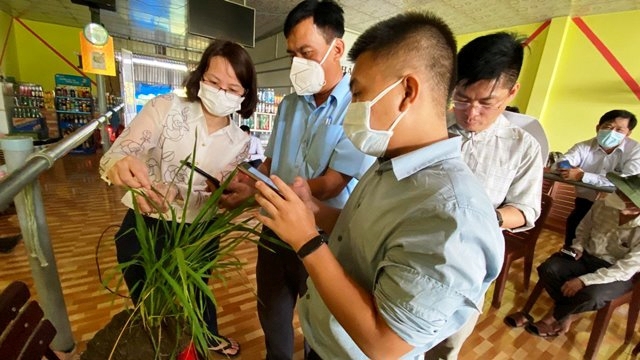 Triển khai thí điểm phần mềm nhận diện sinh vật gây hại lúa trên điện thoại di động tại An Giang (Ảnh: NQ)
