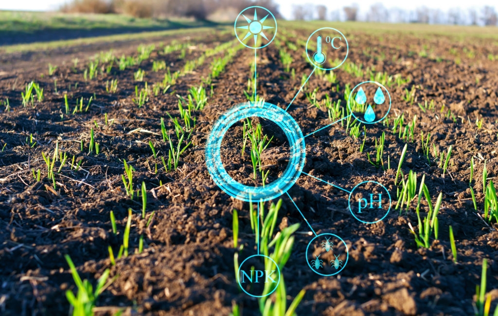 AI cung cấp các giải pháp thông minh về phân loại đất cũng như chăm sóc cây trồng (Ảnh: Datapopalliance)