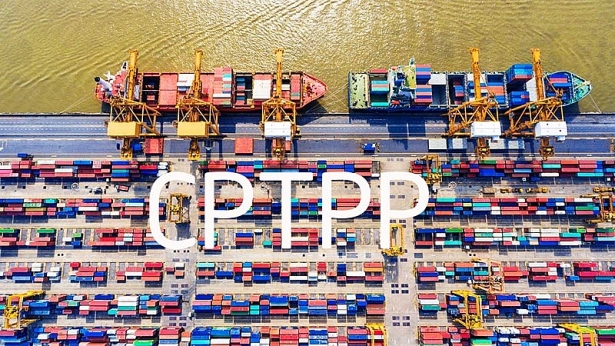 Ban hành Biểu thuế xuất khẩu ưu đãi, Biểu thuế nhập khẩu ưu đãi đặc biệt của Việt Nam để thực hiện CPTPP. Nguồn: internet