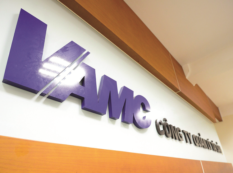 Ngày 27/6/2013, VAMC được thành lập và đi vào hoạt động một tháng sau đó.