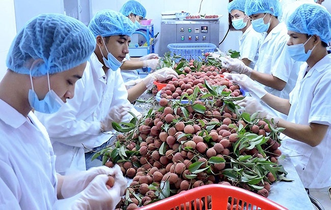 Chất lượng nông sản Việt Nam ngày càng được cải thiện. Nguồn: internet