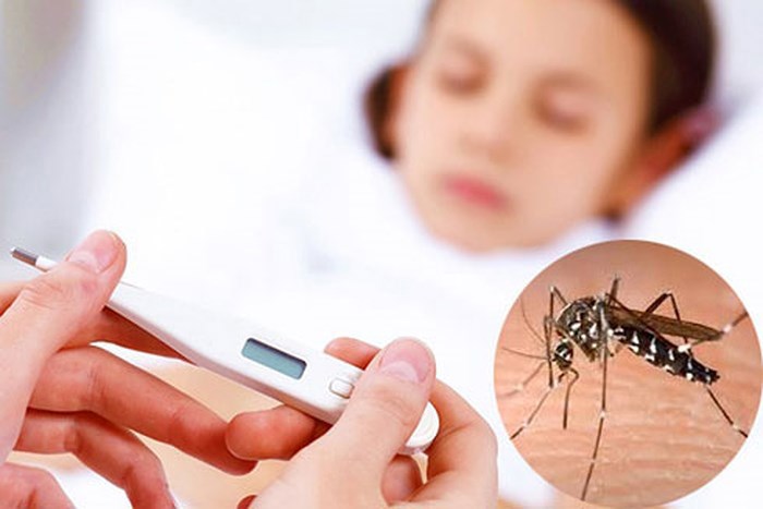 Bộ Y tế khuyến cáo người dân thực hiện các biện pháp phòng, chống bệnh sốt xuất huyết. Nguồn: internet