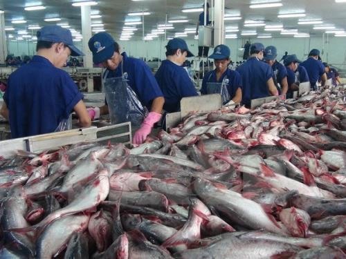  Tính đến hết tháng 6/2019, tổng giá trị XK cá tra đạt 961,6 triệu USD, giảm 4,1% so với nửa đầu năm trước. 