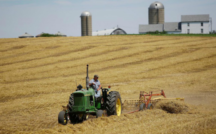  Ngành nông nghiệp Mỹ đang đối mặt nhiều thách thức - Ảnh: Reuters.
