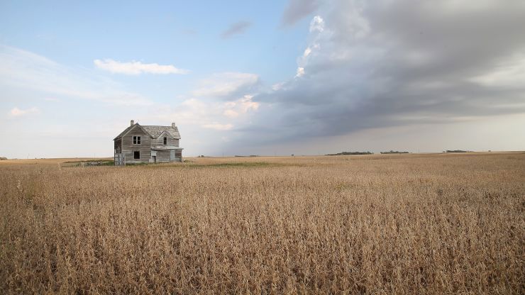 Một cánh đồng đậu tương gần Salem, Nam Dakota. Ảnh: Scott Olson/Getty Images.