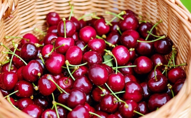 Trong các loại trái cây nhập, cherry là mặt hàng được tiêu thụ mạnh nhất. Nguồn: internet