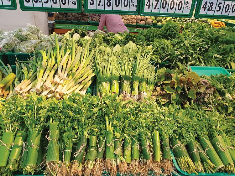 DN Việt Nam đã bắt đầu thay đổi theo hướng “xanh hóa tiêu dùng”.