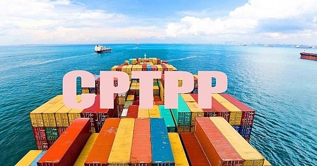 Thông tư số 62/2019/TT-BTC ngày 5/9/2019 hướng dẫn cụ thể về xác định xuất xứ hàng hóa xuất khẩu, nhập khẩu để áp dụng thuế suất ưu đãi đặc biệt theo Hiệp định CPTPP. Nguồn: internet